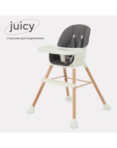 Стульчик для кормления Juicy RH160 Wood grey Rant