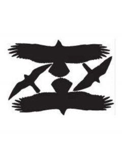 Наклейки стикеры Силуэты хищных птиц Вариант 2 размер А2 Tornado