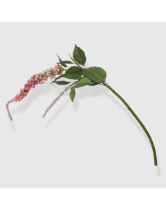 Искусственный цветок Вероника 80 см Конэко-о