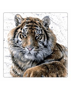 Прихватка Тигрята 20 х 20 см хлопок разноцветная Nobrand