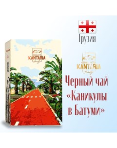 Чай грузинский черный крупнолистовой Каникулы в Батуми фейхоа 50 г Kantaria