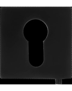 Накладка на замок INET AL03 50 2x50 2 мм цвет чёрный Puerto