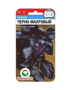 Семена Базилик Черно махровый 63799 0 5 гр Сибирский сад