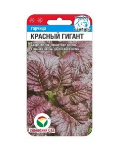 Семена Горчица Красный гигант Скороспелые 63800 0 5 гр Сибирский сад