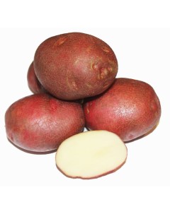 Картофель Изюминка 6 100 шт Агроцентр коренево