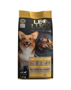 Сухой корм для собак Holistic для пожилых тыква и биодобавки 1 6кг Leo&lucy