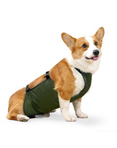 Попона послеоперационная для собак унисекс зеленый хлопок длина спины 45 см Пижон