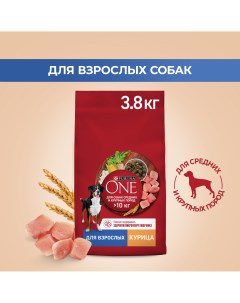 Сухой корм для собак для средних и крупных пород с курицей и рисом 3 8 кг Purina one