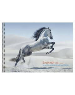 Альбом для эскизов 20л А4 Грациозная лошадь Эксмо