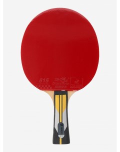 Ракетка для настольного тенниса Tour Красный Torneo