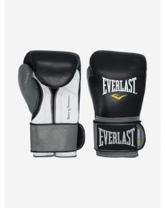 Перчатки боксерские Powerlock Черный Everlast