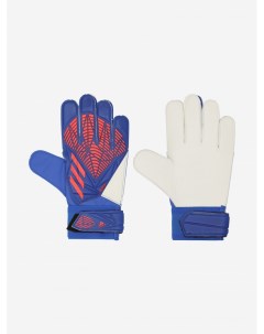 Перчатки вратарские Pred GL TRN Синий Adidas