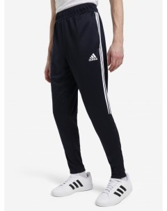 Брюки мужские Sereno Синий Adidas