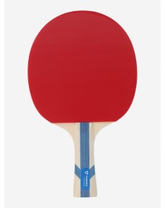 Ракетка для настольного тенниса Training Красный Torneo