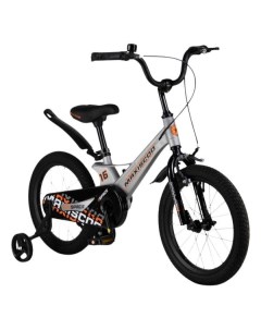 Велосипед детский Maxiscoo SPACE Стандарт MSC S1633 серый SPACE Стандарт MSC S1633 серый