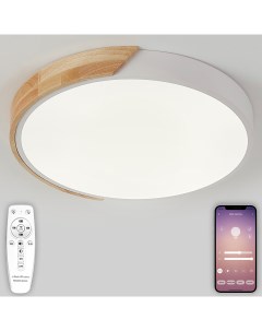 Потолочный светильник светодиодный с пультом ДУ моб приложением 120W белый LED Natali kovaltseva