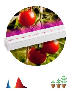 Светильник для растений светодиодный свет фиолетовый 14Вт IP20 для периода вегетации FITO Т5 N Б0045 Era
