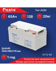 Аккумулятор для ИБП NT 12 65 Neata