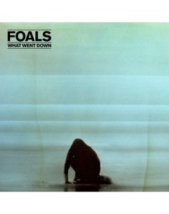 Foals What Went Down LP Transgressive records