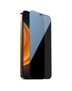 Защитное стекло Full Coverage Privacy Guardian для iPhone 12 Mini Черное Nillkin