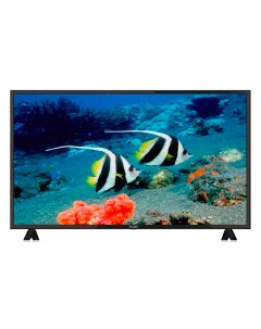 Телевизор EX 43FS005B 42 Full HD черный Econ