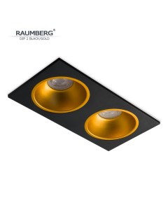 Встраиваемый светильник DIP 2 bkgold черный золотистый Raumberg