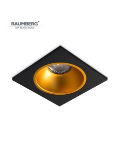 Встраиваемый неповоротный светильник DIP 1 bkgold черный золотистый Raumberg
