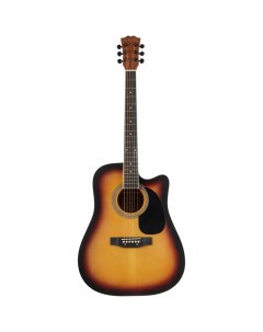 Акустическая гитара TD 045 NA Starter Pack Terris