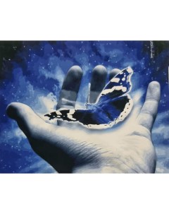 Картина по номерам Бабочка в руке ZX22595 холст на подрамнике 40х50 см Вангогвомне