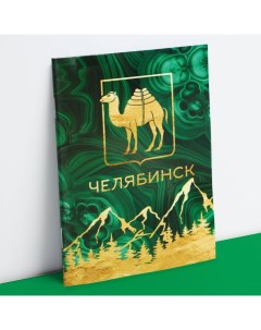 Блокнот Челябинск 9228339 12 листа 9 9 х 14 см Семейные традиции