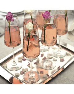 Набор бокалов для шампанского Aria 6шт Rcr cristalleria italiana