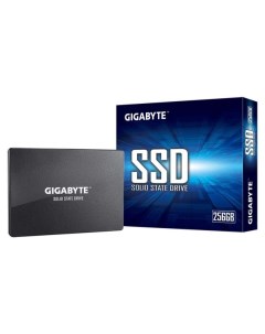 SSD накопитель GIGABYTE 256GB GP GSTFS31256GTND 256GB GP GSTFS31256GTND Gigabyte