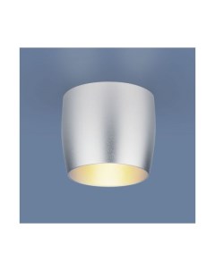 Встраиваемый точечный светильник 6074 MR16 SL серебро Elektrostandard
