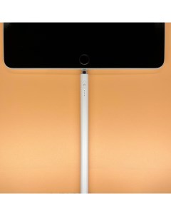Стилус для iPad от 2018 года выпуска с Lightning с изменением толщины линии Zar.market