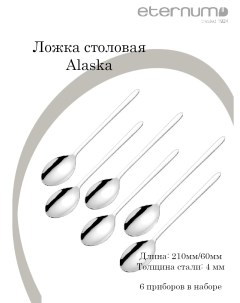 Набор ложек столовая Аляска сталь нерж L210 60 B4мм набор 6 шт Eternum