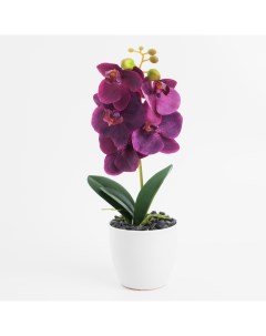 Растение искусственное 35 см в горшке полиэстер керамика Розовая орxидея Orchid Kuchenland
