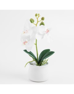 Растение искусственное 25 см в горшке полиэстер керамика Белая орxидея Orchid Kuchenland