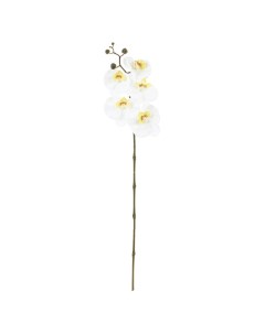 Цветок искусственный Орхидея 15x6x71 см 795197 Белый Flando