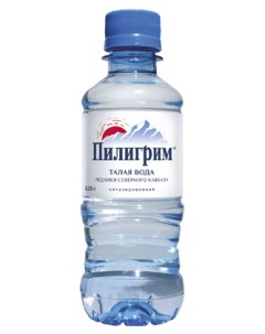 Питьевая вода негазированная 0 25 л Пилигрим