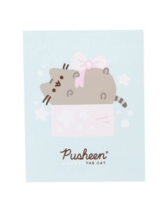 Карамель Sweet Pops 10 г с открыткой Pusheen