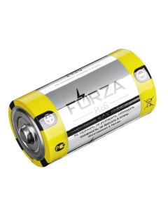Батарейки щелочные 2 шт щелочная тип C BL Alkaline Forza