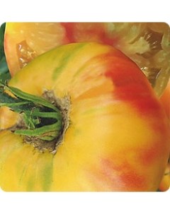 Семена томат Армянский желтый 1 уп Селекционер мязина л.а.