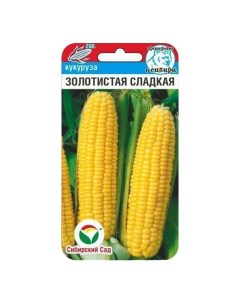 Семена Кукуруза Золотистая 10 шт Сибирский сад
