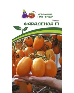 Семена томат Фараденза RACO 16404 1 уп Партнер
