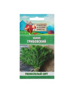 Семена Укроп Грибовский 10245142 2 г Рецепты дедушки никиты