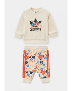 Костюм спортивный Adidas originals