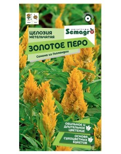 Семена целозии метельчатой золотое перо Semagro