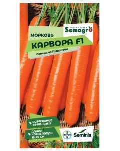 Семена морковь карвора f1 Seminis