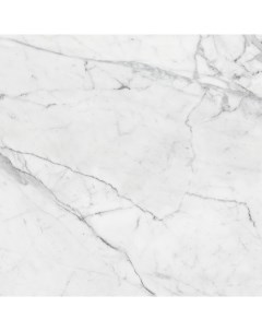 Керамогранит Marble Trend Carrara K 1000 MR 60x60 Kerranova