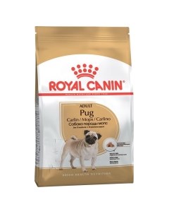Pug Adult Корм сух д собак породы мопс 500г Royal canin